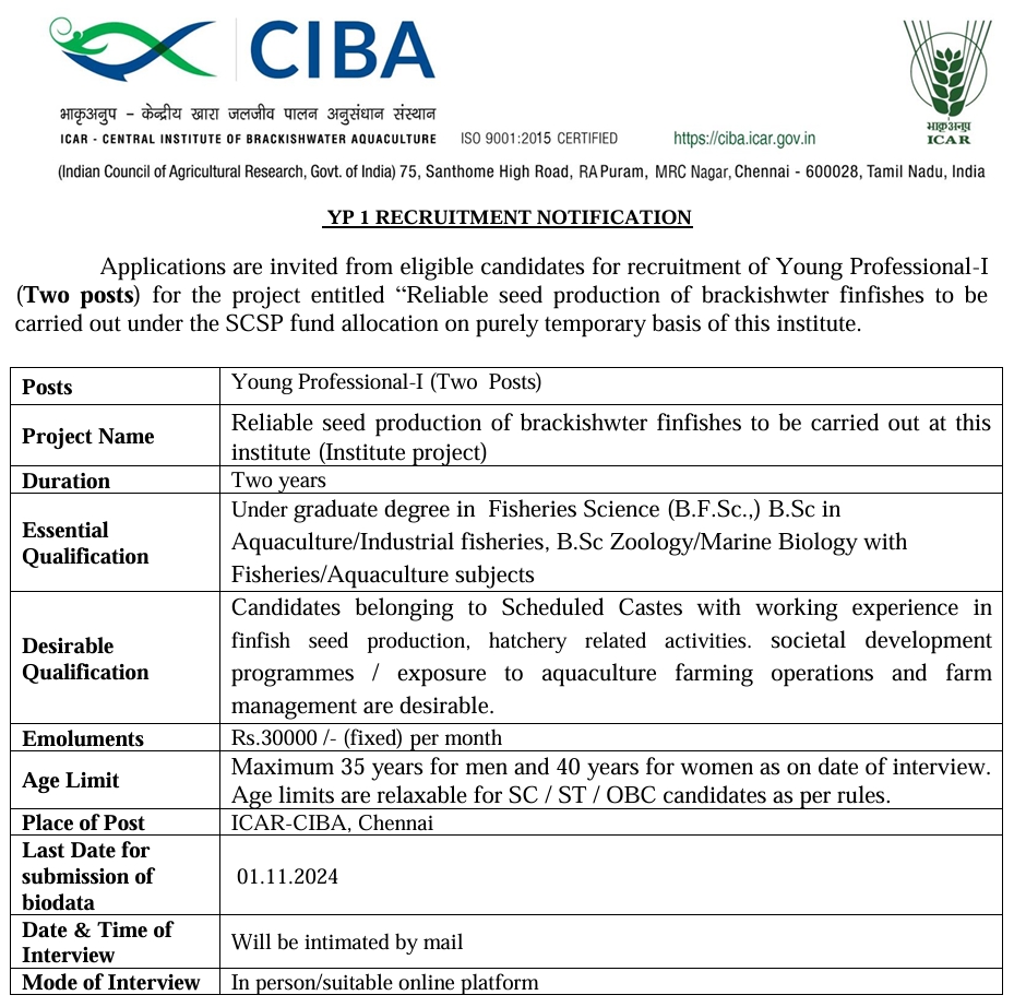 CIBA Recruitment 2024