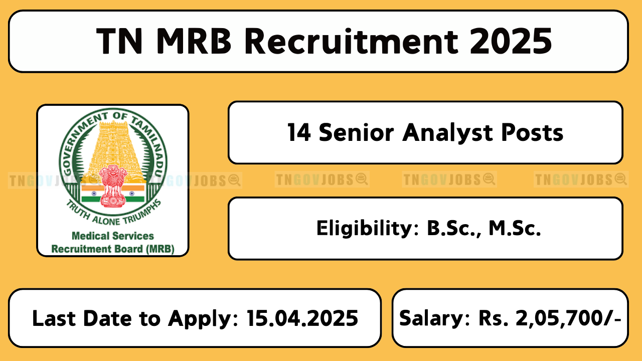 TN MRB 2025 Recruitment Notification for 14 Senior Analyst Posts – Apply Online
