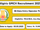 Nilgiris GMCH Recruitment 2025 – Data Entry Operator Vacancy Notification in Tamil Nadu