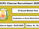 DCPU Chennai Social Worker Recruitment Notification 2025