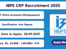 IBPS RRB recruitment 2025: Apply online for 13,217 Office Assistant and Officer (Scale-I, II, III) posts at ibps.in before 28.09.2025.