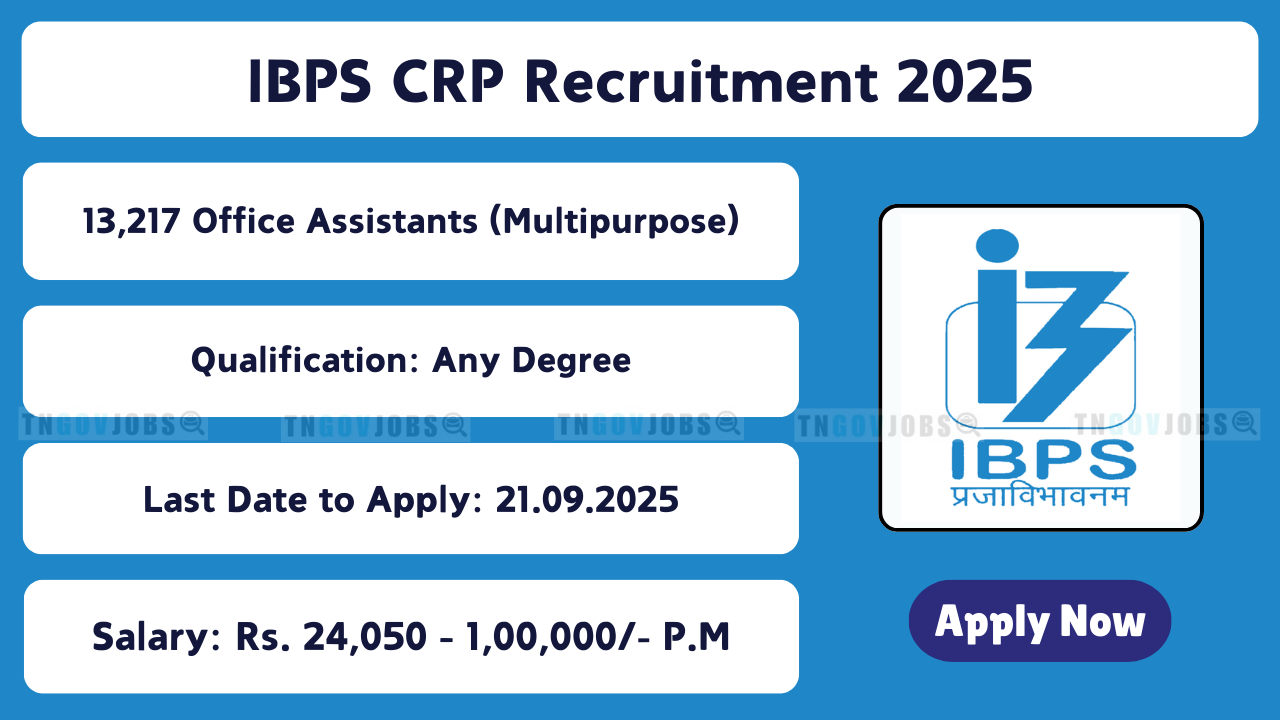 IBPS RRB recruitment 2025: Apply online for 13,217 Office Assistant and Officer (Scale-I, II, III) posts at ibps.in before 21.09.2025.