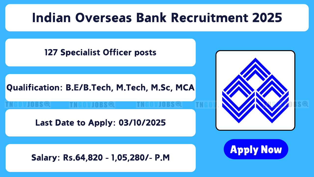 Apply online for Indian Overseas Bank Recruitment 2025 – 127 Specialist Officer vacancies at iob.in