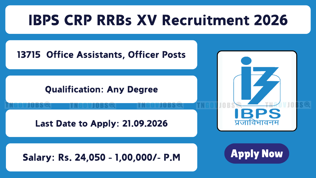IBPS CRP RRBs XV Recruitment 2026: 13715 Office Assistant Posts